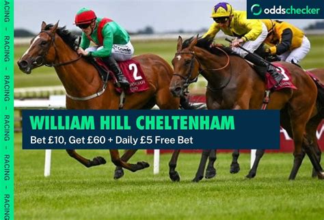 odds checker cheltenham